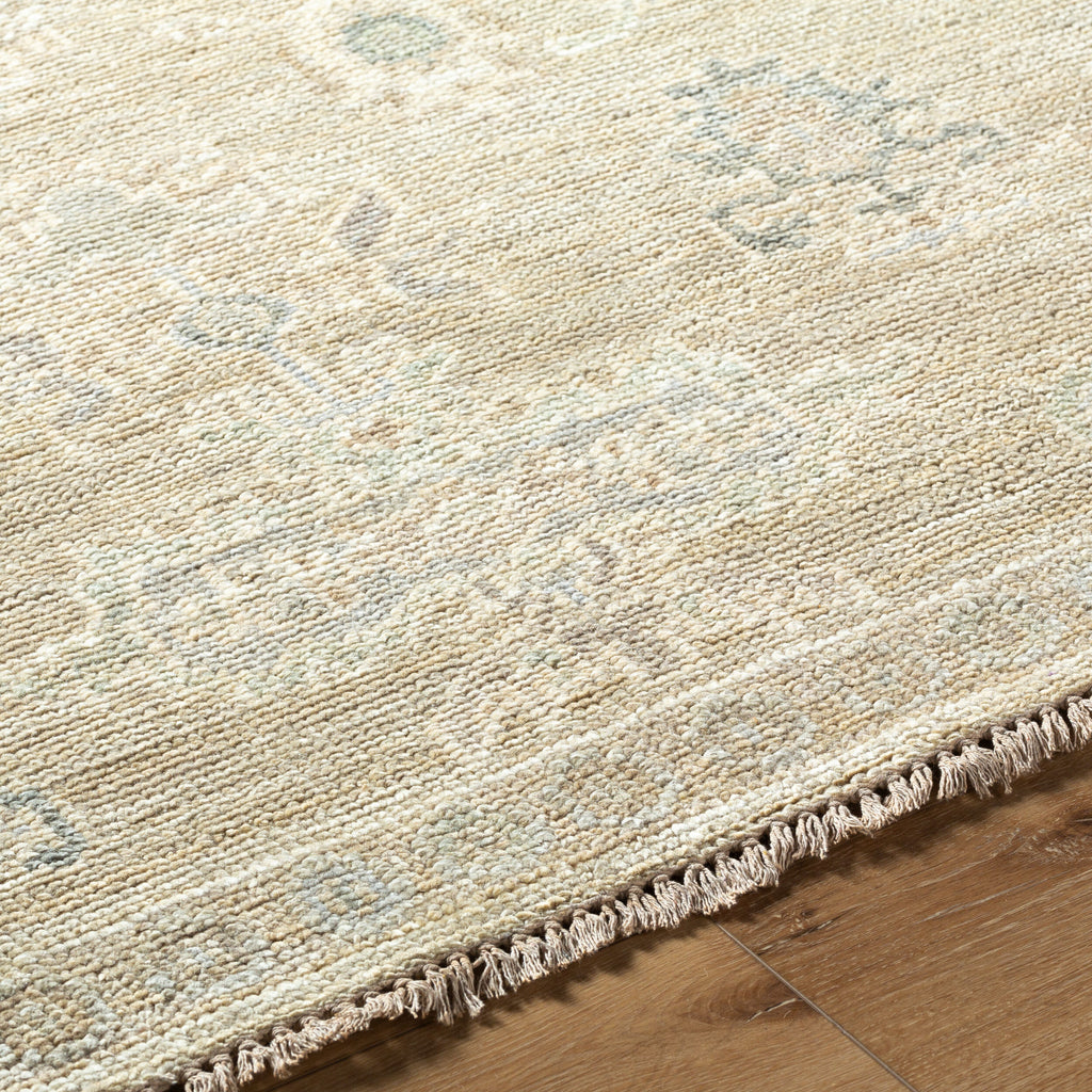 Classic Hand-Knotted Area Rug 8' x 10' - 100% Wool by Surya