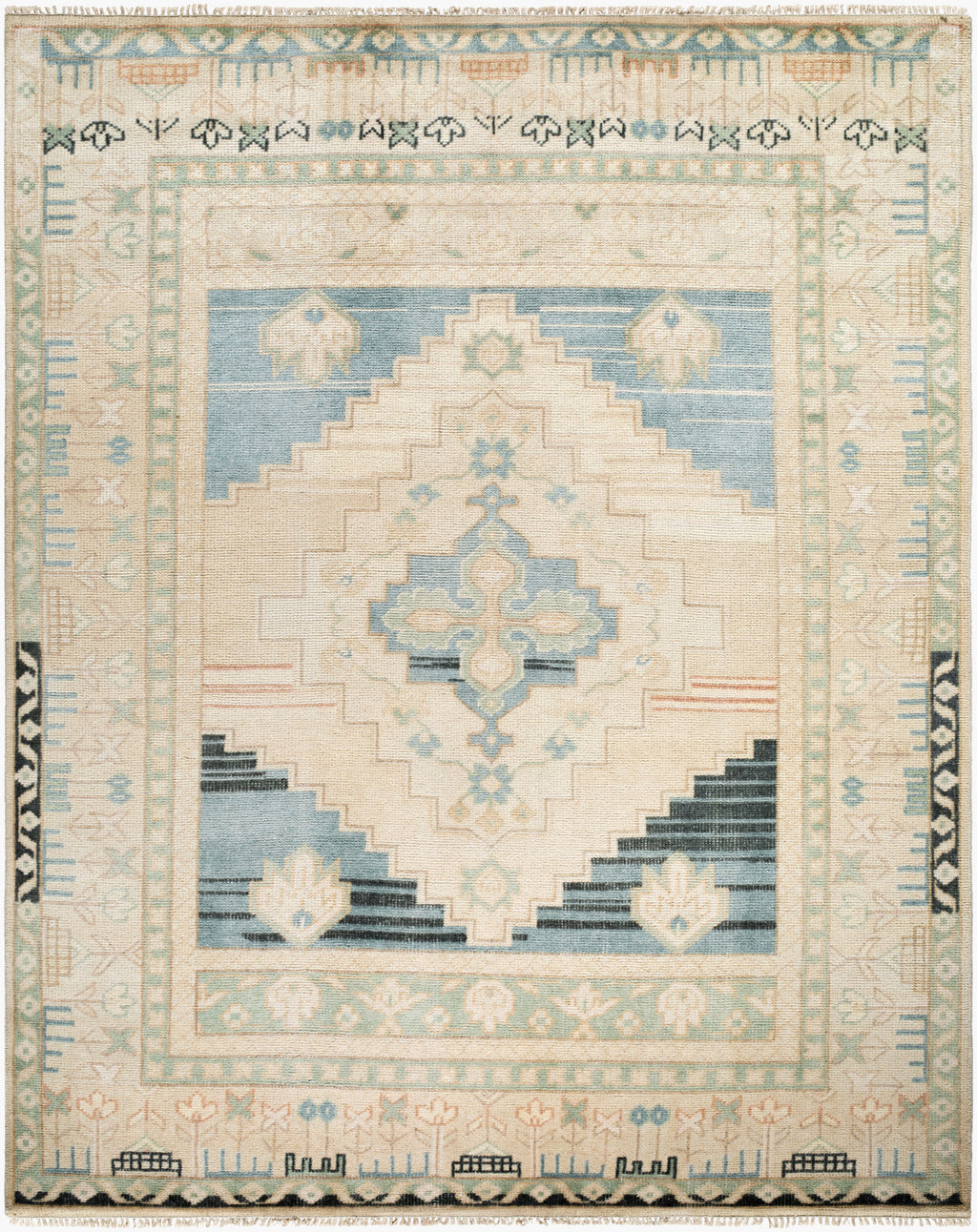 Sophisticated Hand-Knotted Area Rug 8' x 10' - Wool Viscose Blend by Surya