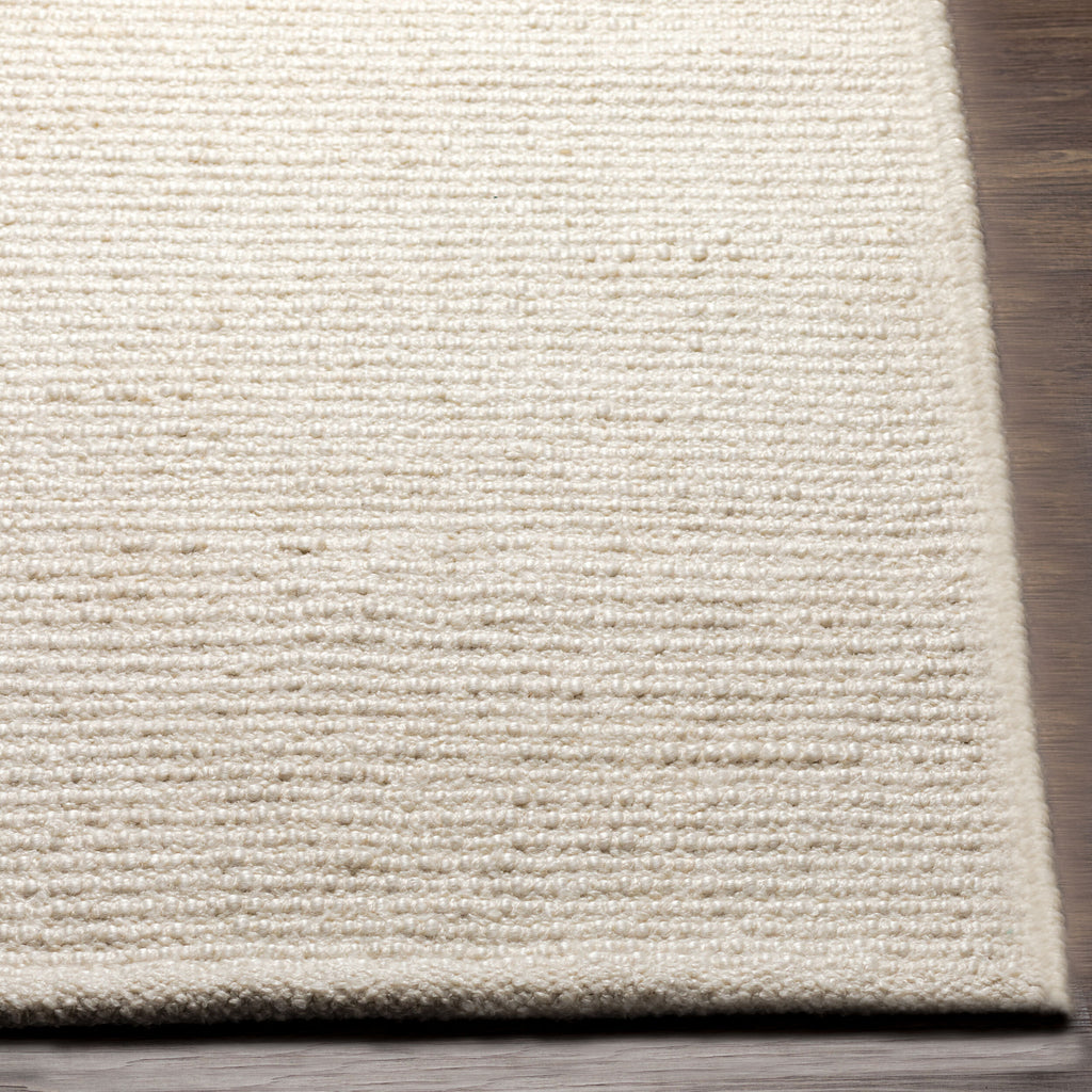 Eco-Friendly Hand-Woven Area Rug 8' x 10' - 100% Recycled PET Yarn by Surya