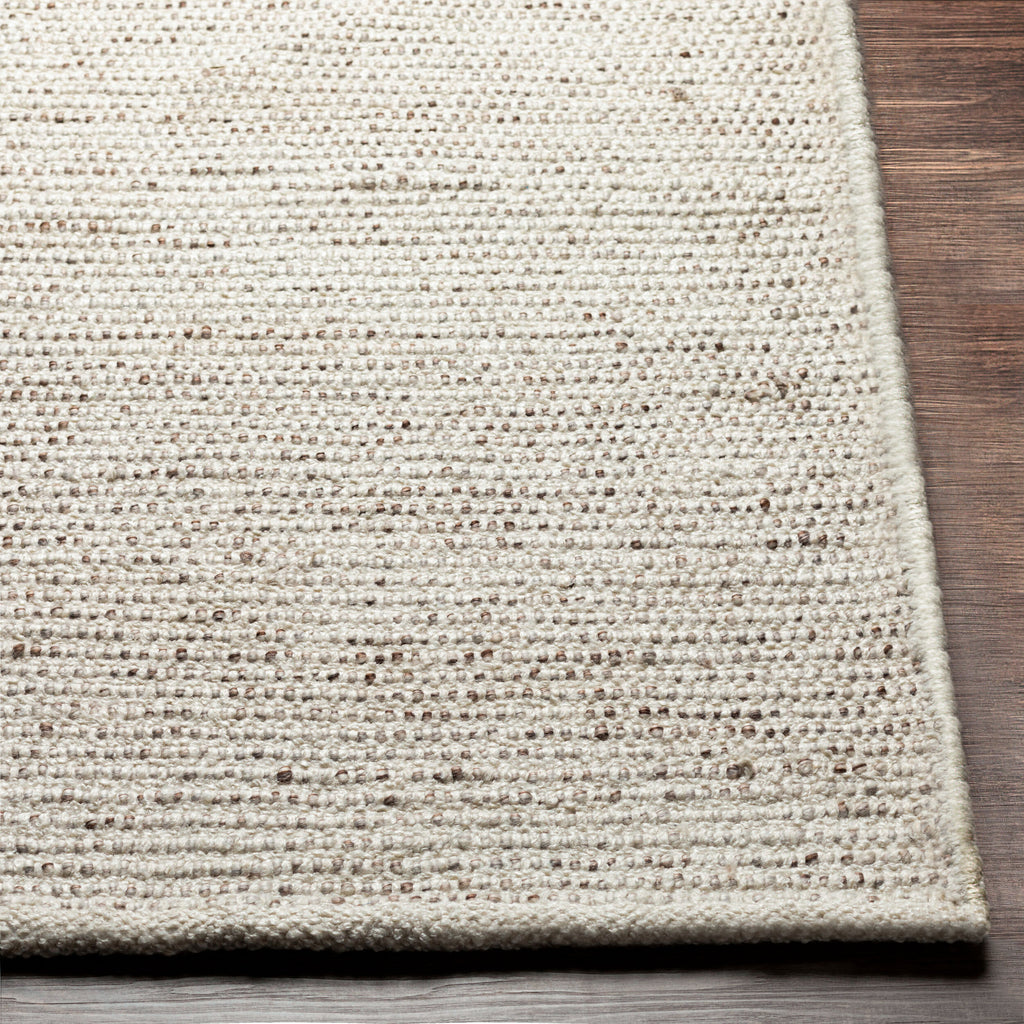 Sustainable Hand-Woven Area Rug 8' x 10' - 100% Recycled PET Yarn by Surya